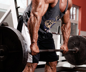 Training Tips for Your Next Workout - Lock Out the Deadlift