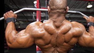 ON TRIAL: BACK WORKOUTS - ROWS VS. PULLDOWNS