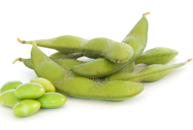 5 Things You Need to Know About Soy 