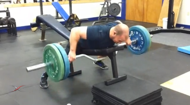 Prone Rows Prone Rows