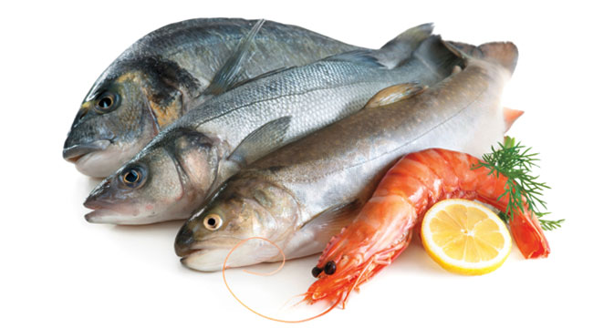 List of 10 Food for Building Muscle - Fish | KreedOn
