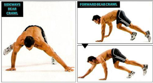 Upper Body Circuit: Bear Crawl for Bigger Gains