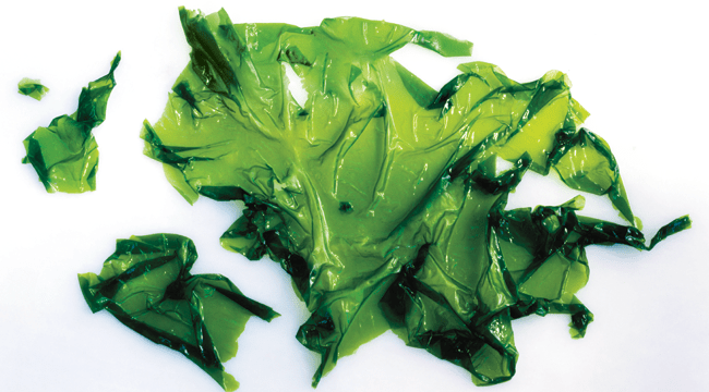 Get Iron Strong with Seaweed