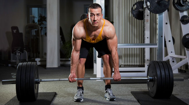 Dr. Squat's Muscle Building Lessons