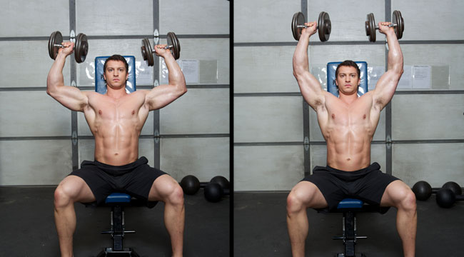Unlock Gains With a Shorter Range of Motion