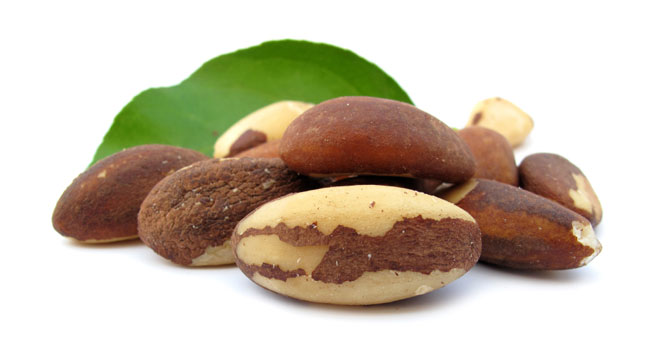 Brazilian Nuts - The One-Stop Shop for Selenium