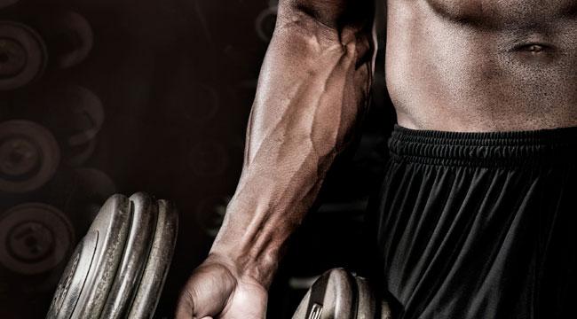 Neglected Body Parts: Forearms and Calves