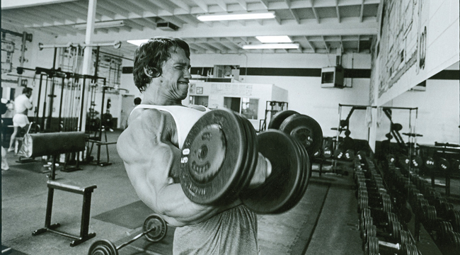 Arnold S Iron Stack Muscle Fitness