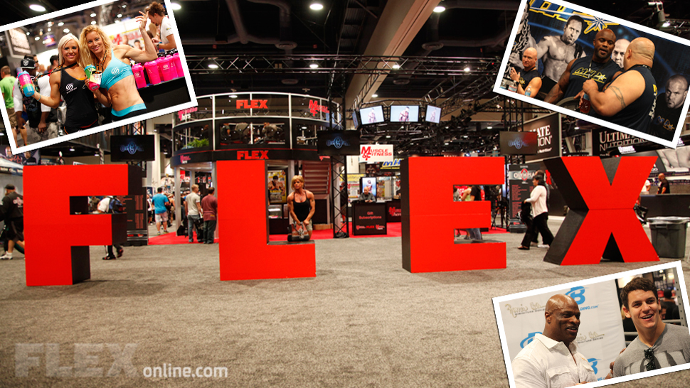 2013 Olympia Expo Madness