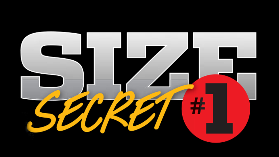 leg workout for size