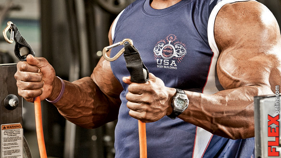 Top 3 Barbell Band Exercises To Improve Your Big Lifts