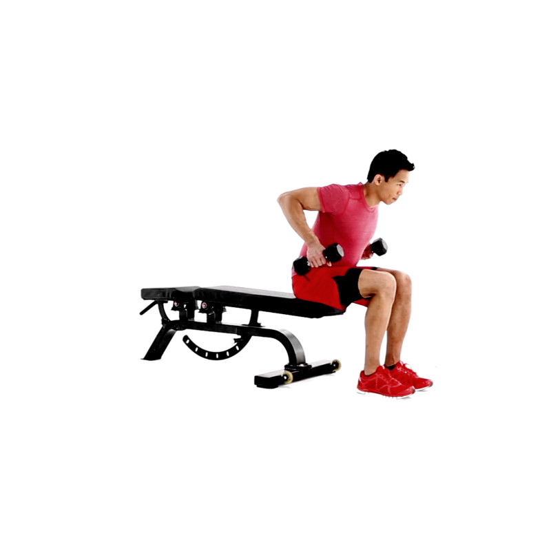 Seated Dumbbell Row Exercise Video Guide Muscle Fitness Seated Dumbbell Row Exercise Video Guide Muscle Fitness