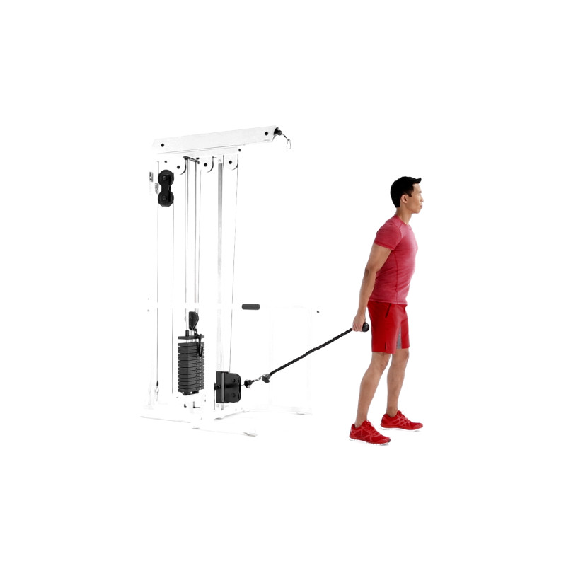 Cable Front Raise Exercise Video Guide Muscle & Fitness