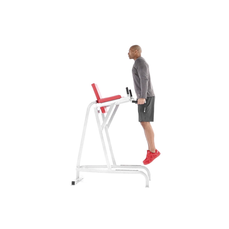 Bodyweight Dip Exercise Video Guide Muscle & Fitness