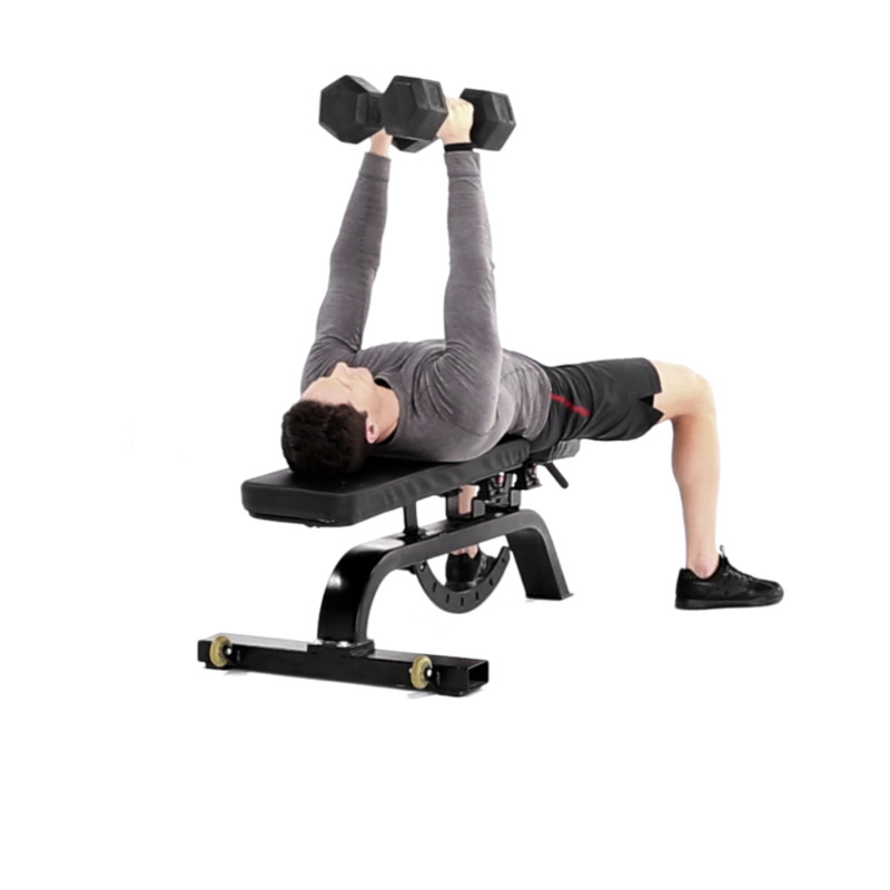 Neutral Grip Dumbbell Bench Press Muscle Fitness