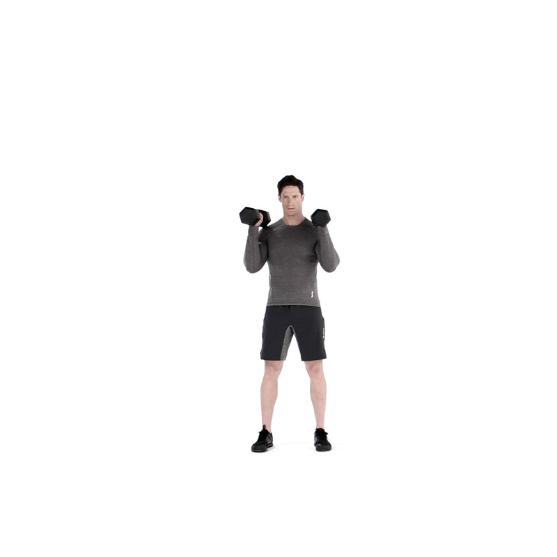 Dumbbell hammer curl