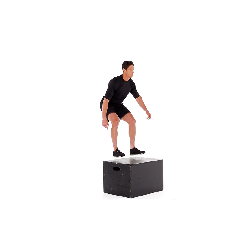 High Box Jump Exercise Video Guide Muscle Fitness