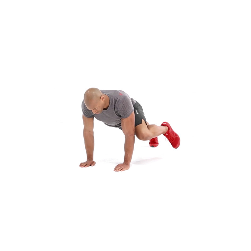 Plank with Oblique Crunch Exercise Video Guide Muscle