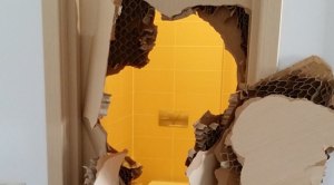 Olympian Johnny Quinn Smashes Bathroom Door in Sochi