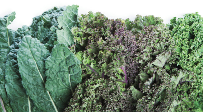 Muscle Fuel: Hail Kale