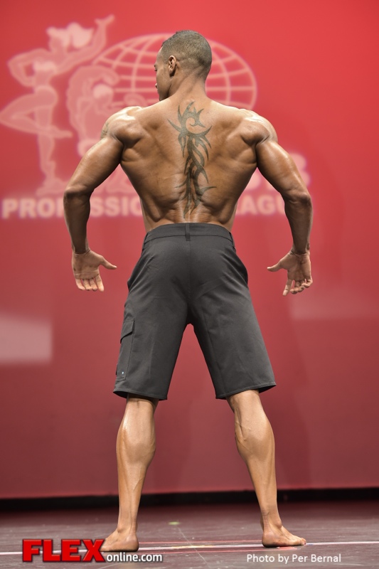 Andre Adams - Mens Physique - 2014 New York Pro Championships