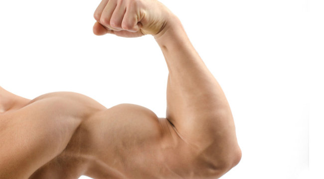 Perfect Peaks in 3 Biceps Moves