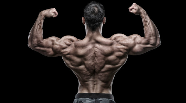 The Bigger Stronger Back Workout Muscle And Fitness