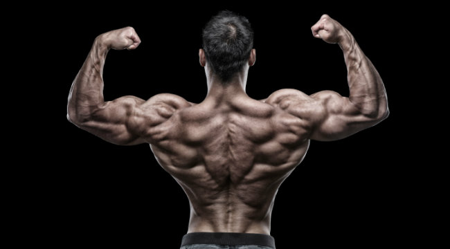 bodybuilder back pose
