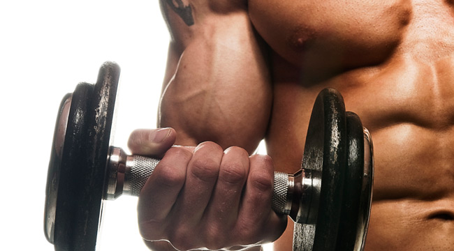 Big Biceps Workout