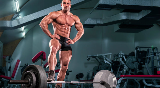 More Or Less The Perfect Training Split Workout Routine Muscle Fitness