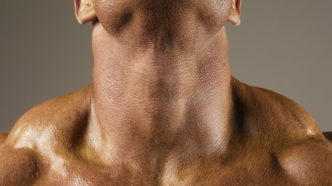 neck