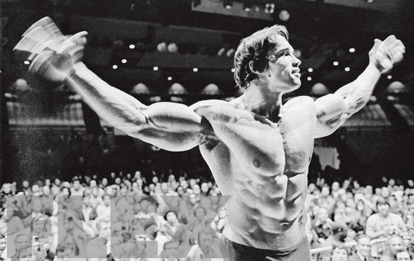 Arnold Schwarzenegger's 12 Rules for Success | Muscle & Fitness