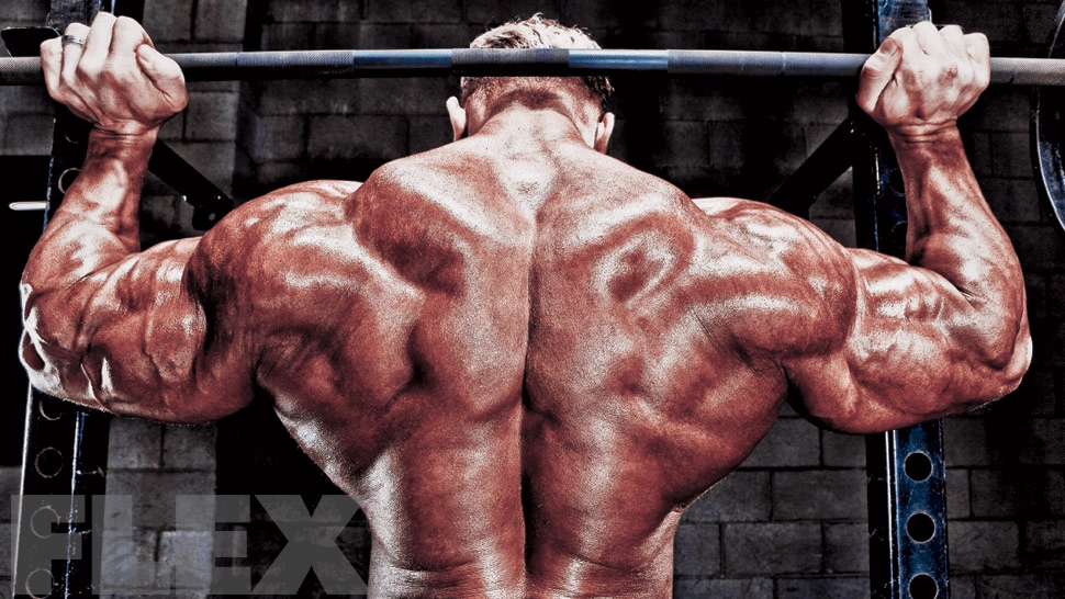 Dennis Wolf's Guide to Wide Shoulders