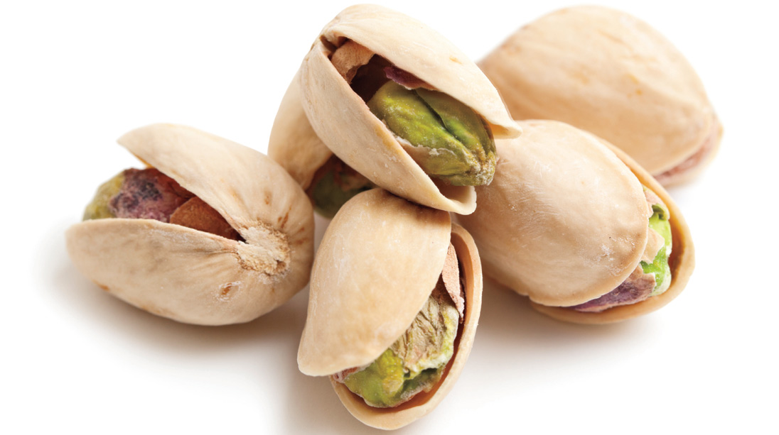 Health Nuts Muscle & Fitness