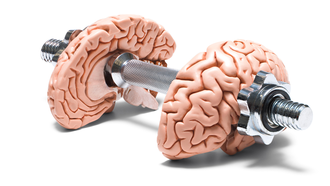 Why weights keep your brain healthy