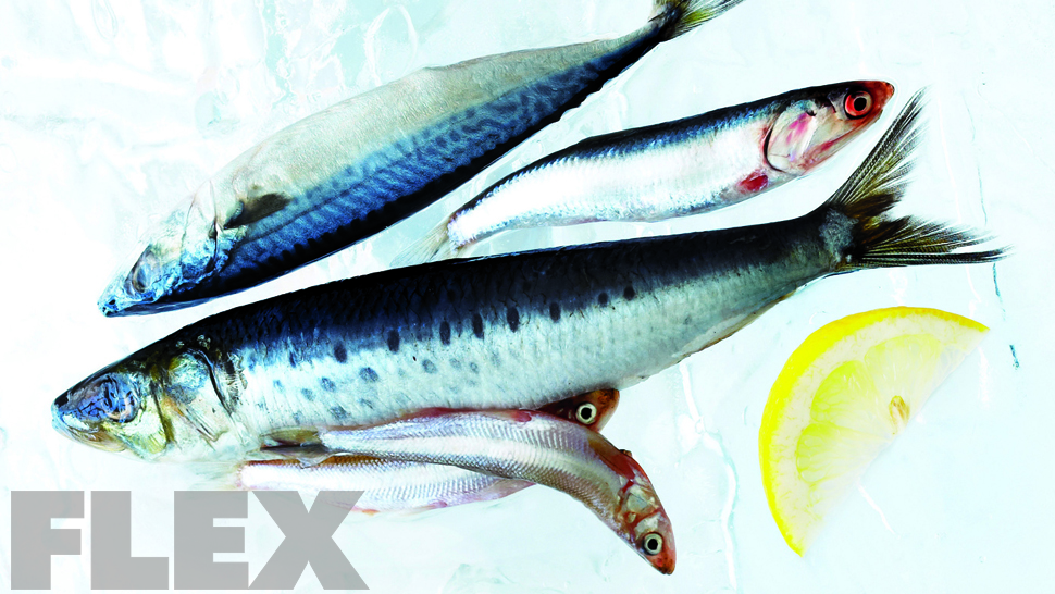 The Best Fish for Bodybuilders
