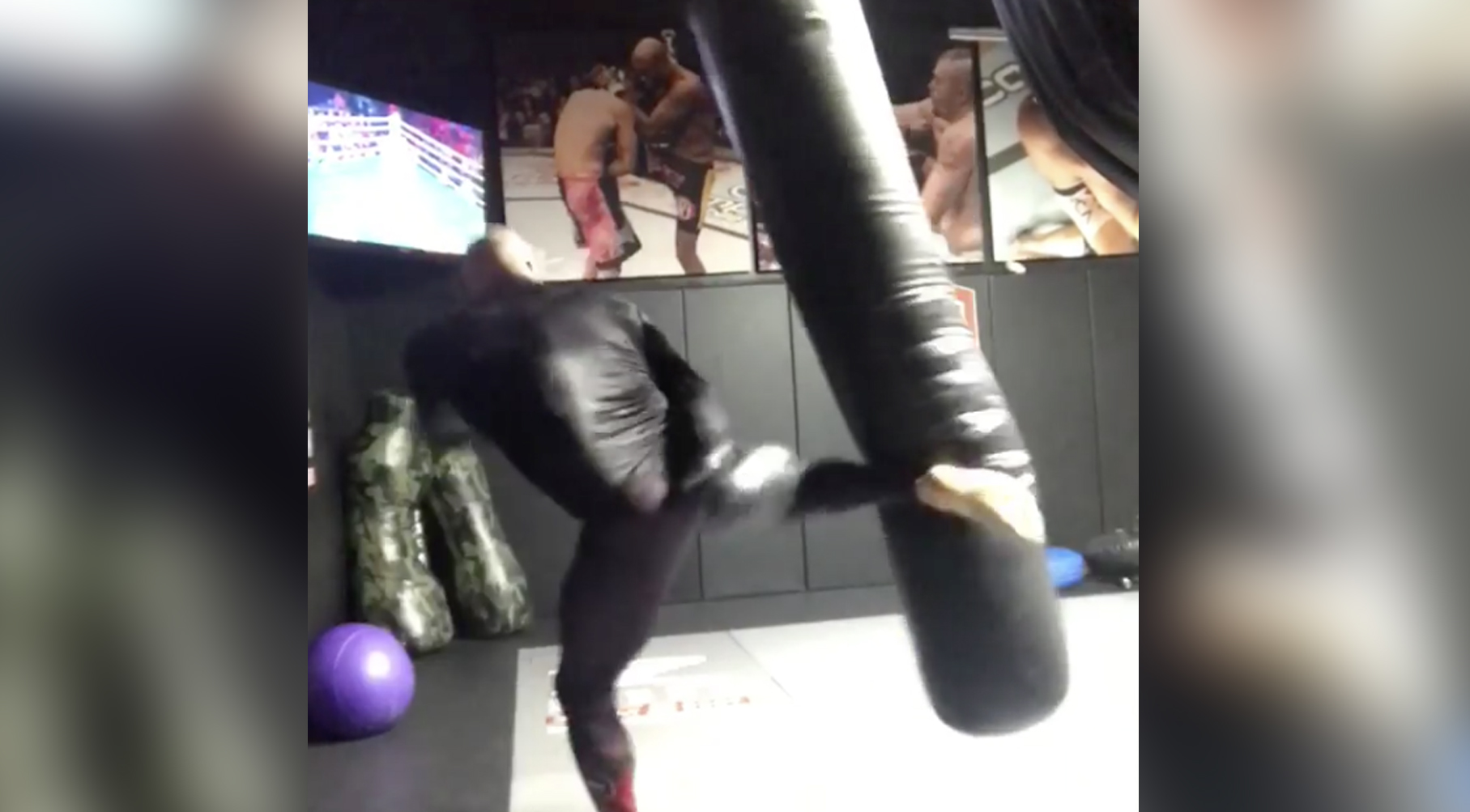 joe rogan stretch pants