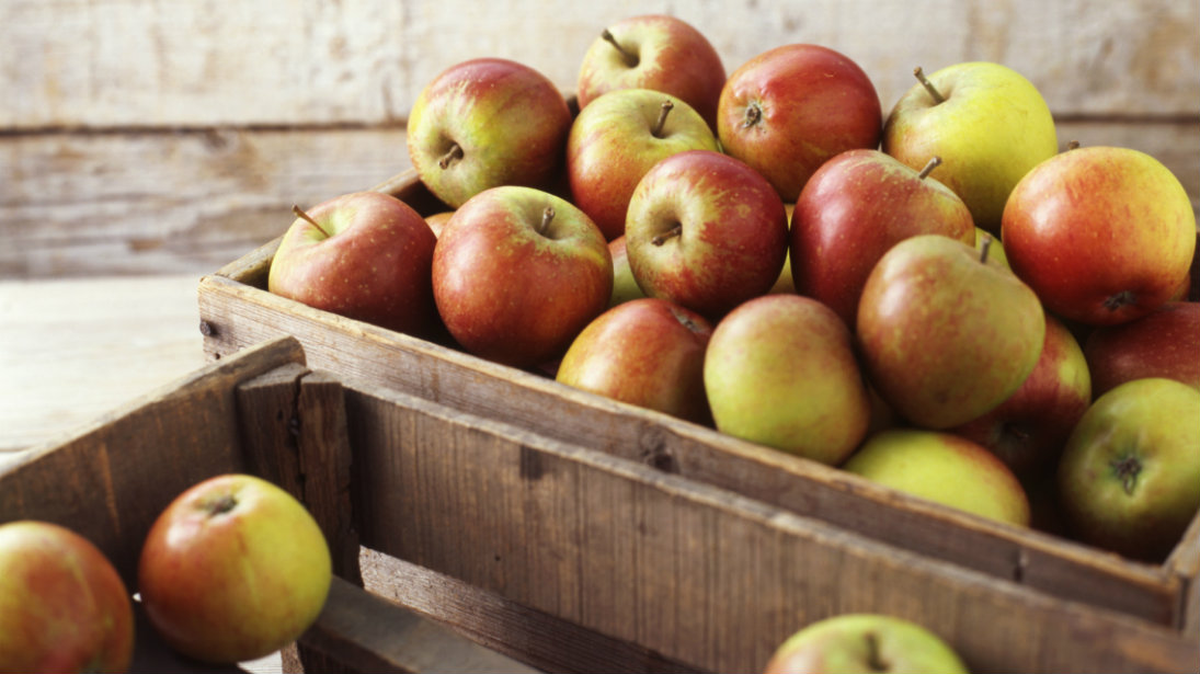5 Great Ways to Eat Apples Muscle & Fitness