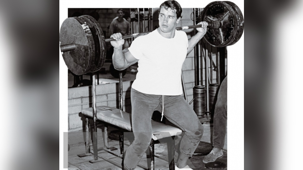 Squats Vs Box Squats Muscle Fitness