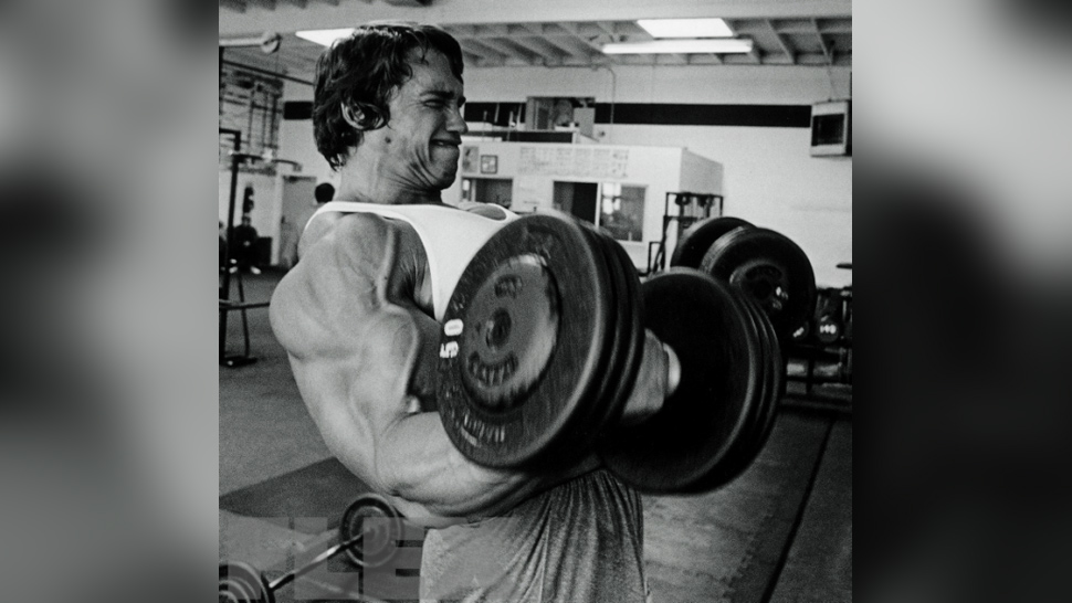 The Complete Arnold Biceps Muscle &amp; Fitness