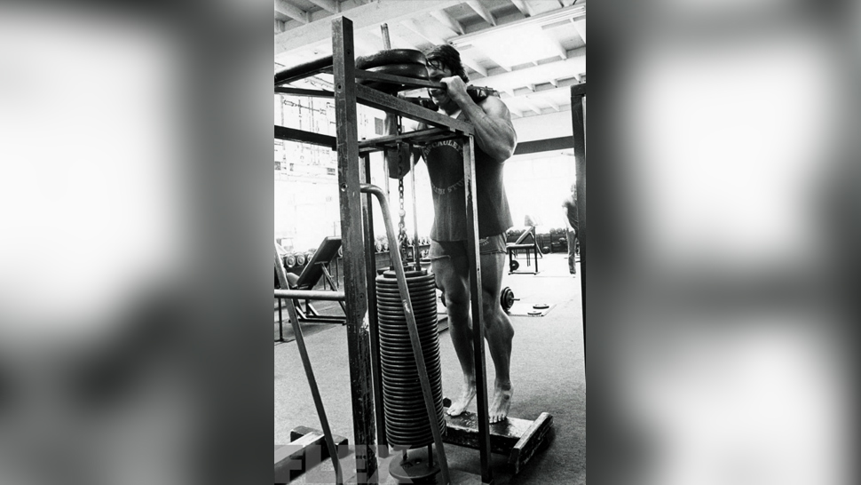 The Complete Arnold: Calves