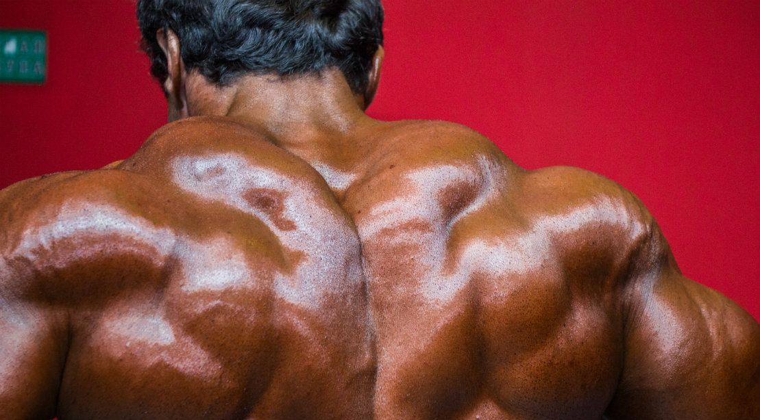 Bodybuilder Shrug Shows Massive Traps