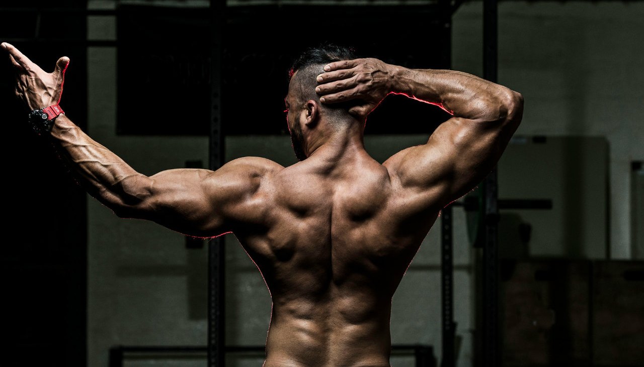 The 30-minute big back workout routine