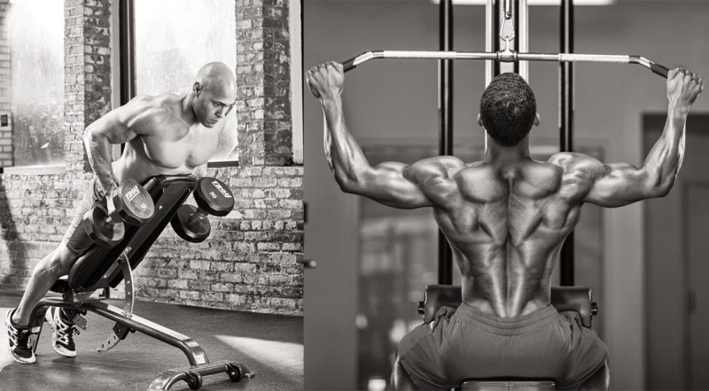 The 11 Best Exercises To Train Every Major Muscle - Muscle & Fitness