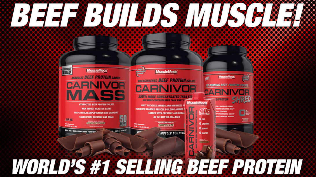 Supp of the Week: CARNIVOR