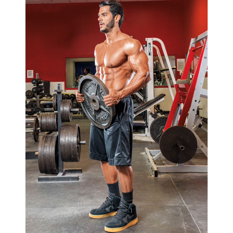 Plate Rotation Gym Forward and Backward Plate Lunge With Rotation Exercise Video Guide ...