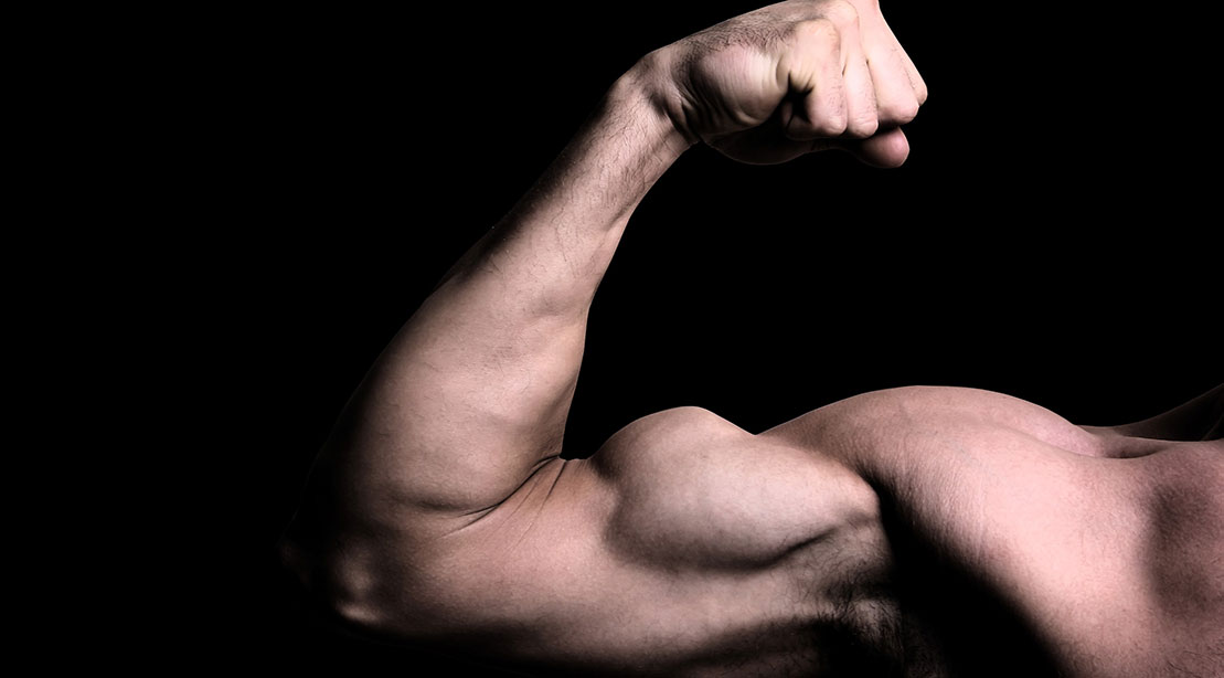 A picture of a flexed bicep