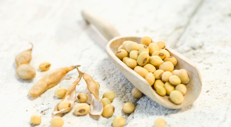 25 Easy Ways to Burn More Fat (2022) Say Soy-Anara To Fat