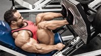10 Exercise Muscle Building Leg Press