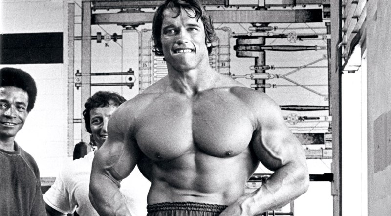 Belofte dilemma Rot 9 Things You Didn't Know About Arnold Schwarzenegger | Muscle & Fitness